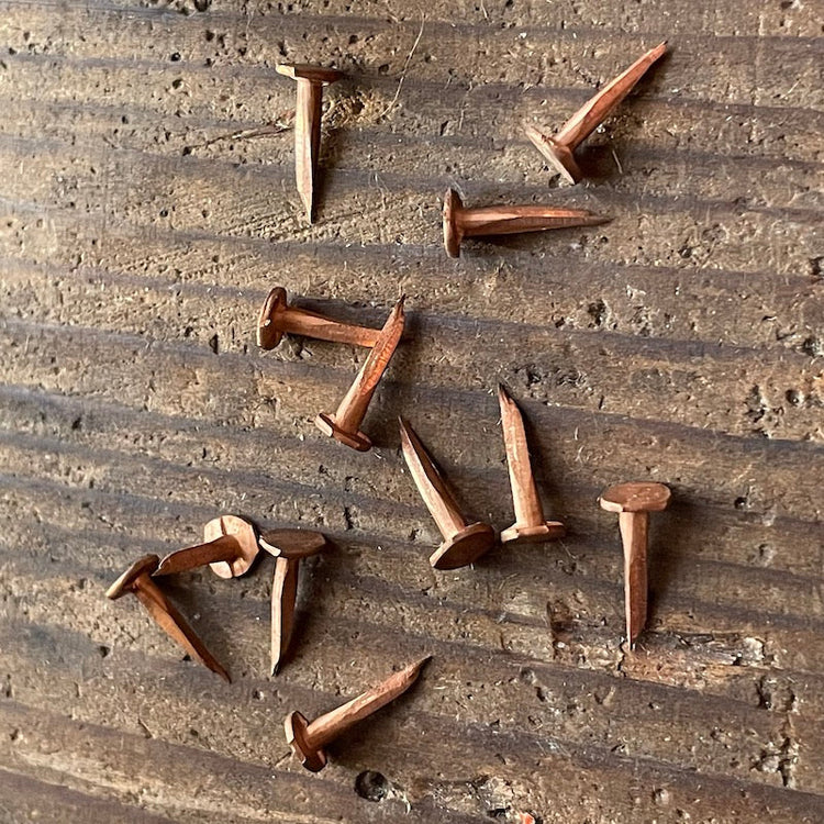 a scatter of small copper tacks on a wood surface