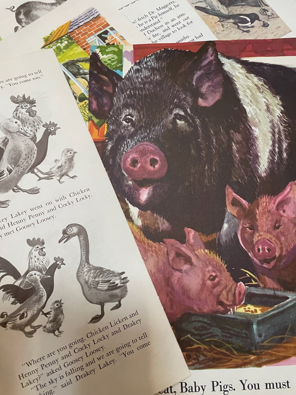 1/8 lb of vintage children’s book pages with Animals for scrapbooking, journaling, crafting / old paper pages for junk journals, ephemera