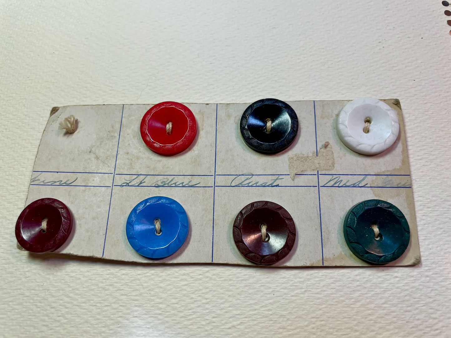 6 1950s vtg plastic button sample card | 2 hole flat | size 24/0.63" | new old stock