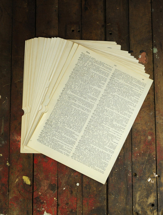 Papers for repurposing: 1/8 lb mix of uniformly sized vintage dictionary pages