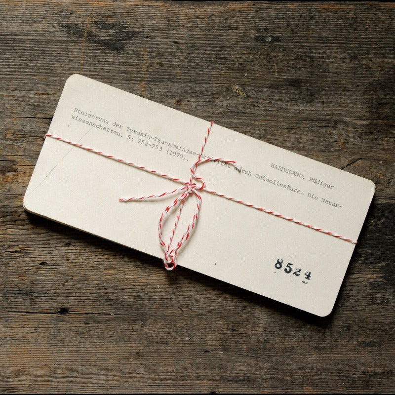 Give the gift of Junket!