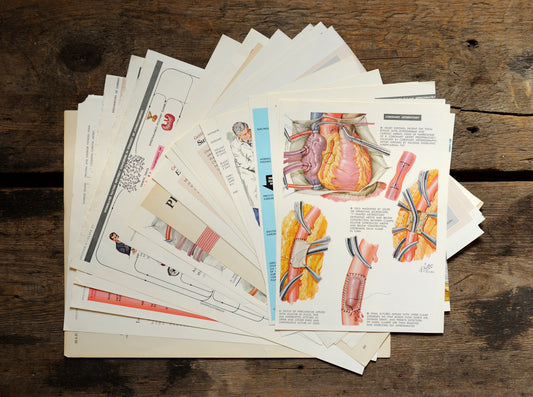Salvaged pages: 1/8 lb mix of true vintage anatomical & medical illustrations