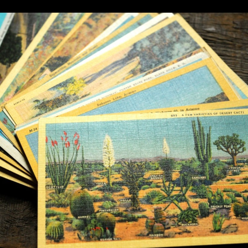 Five vintage linen postcards: unused mix
