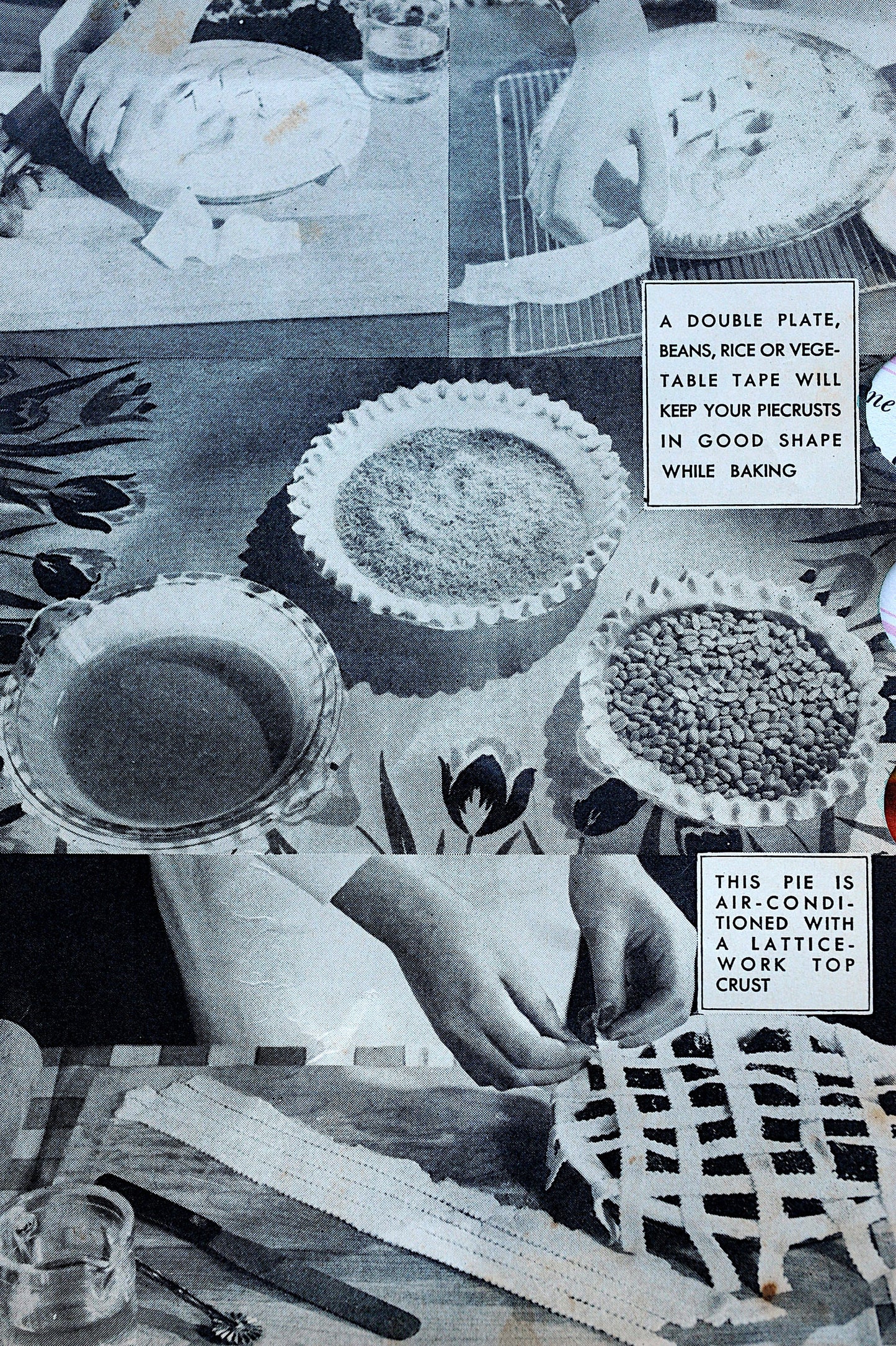 Salvaged Pages: 1/8 pound of vintage food photos & illustrations