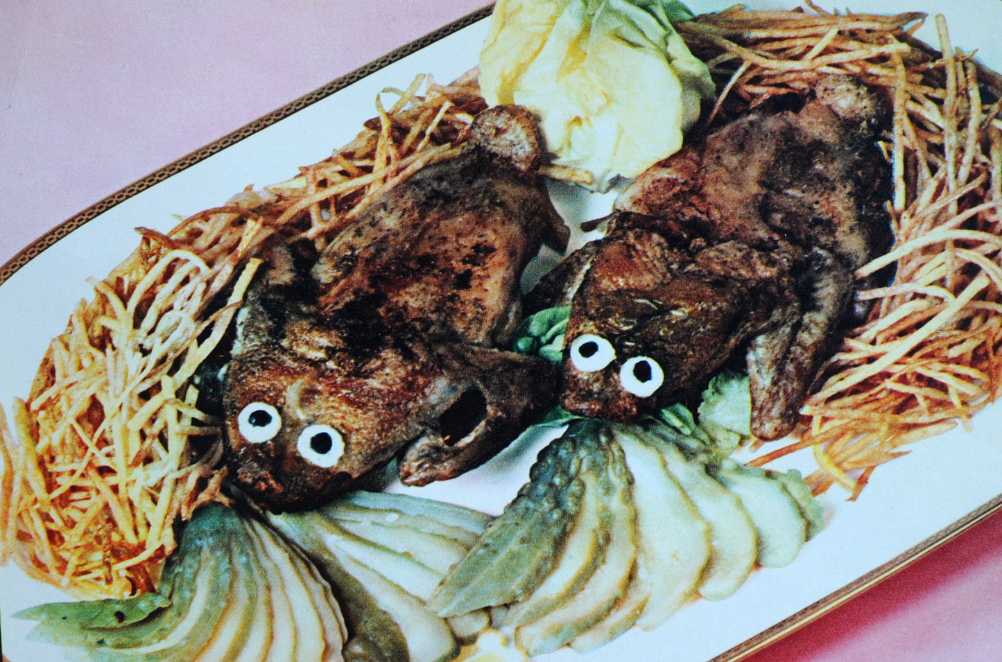 Salvaged Pages: 1/8 pound of vintage food photos & illustrations