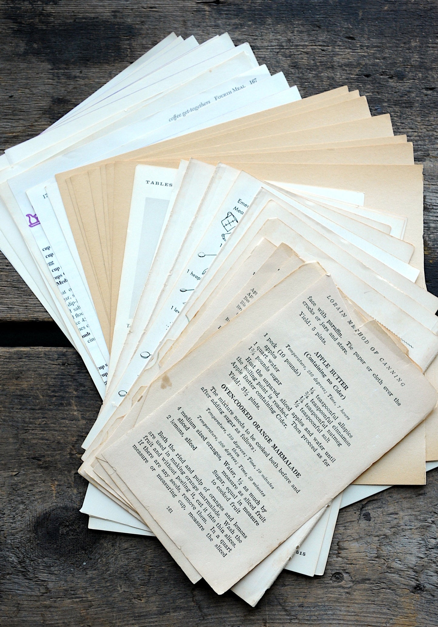 kitschy kitchen cookbook pages