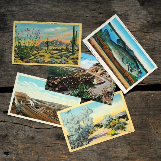 Five vintage linen postcards: unused mix