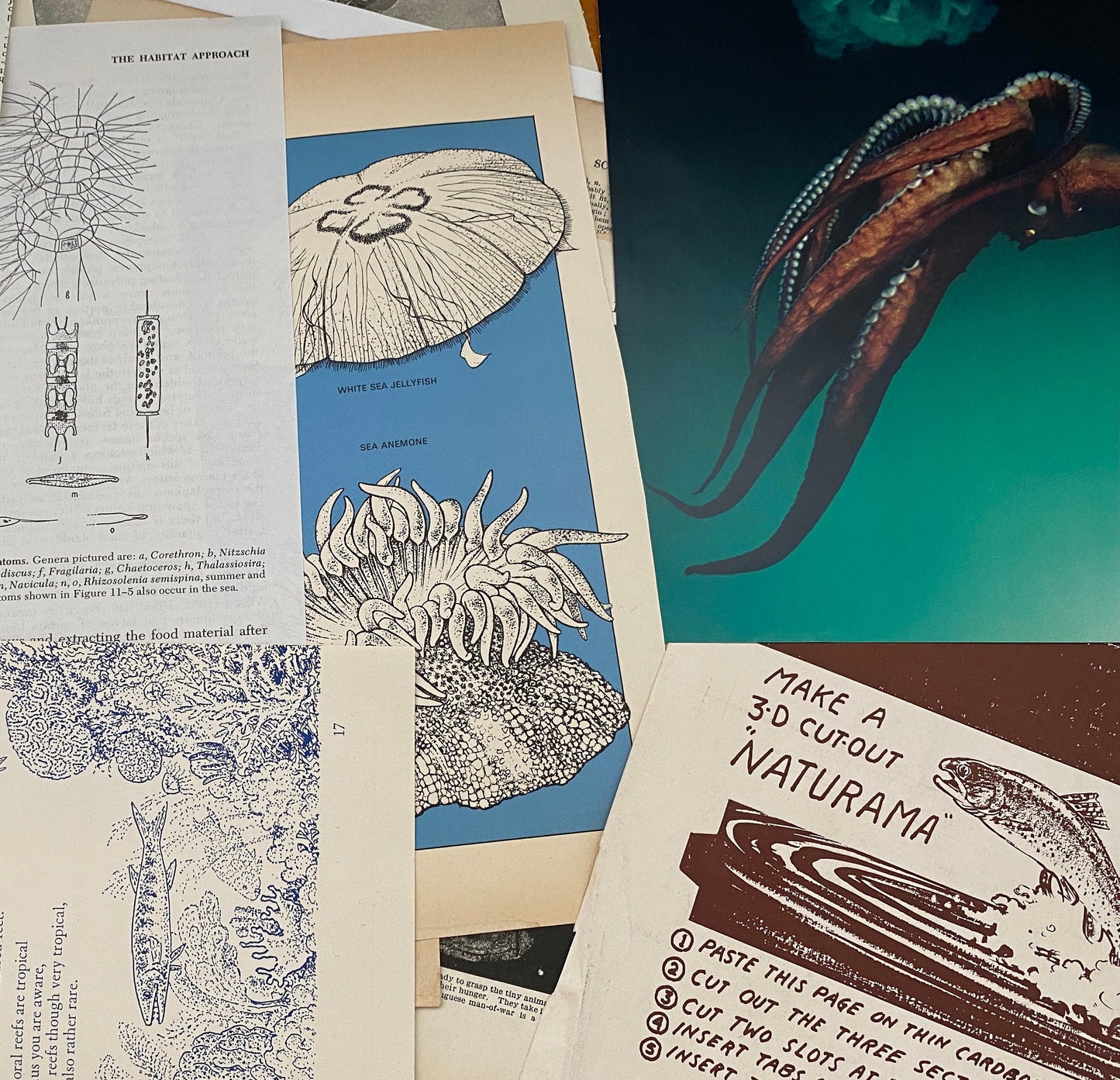 UNDER THE SEA: 1/8 lb mix of vintage fish & related book pages and papers for art, collage, junk journal, scrapbook, craft