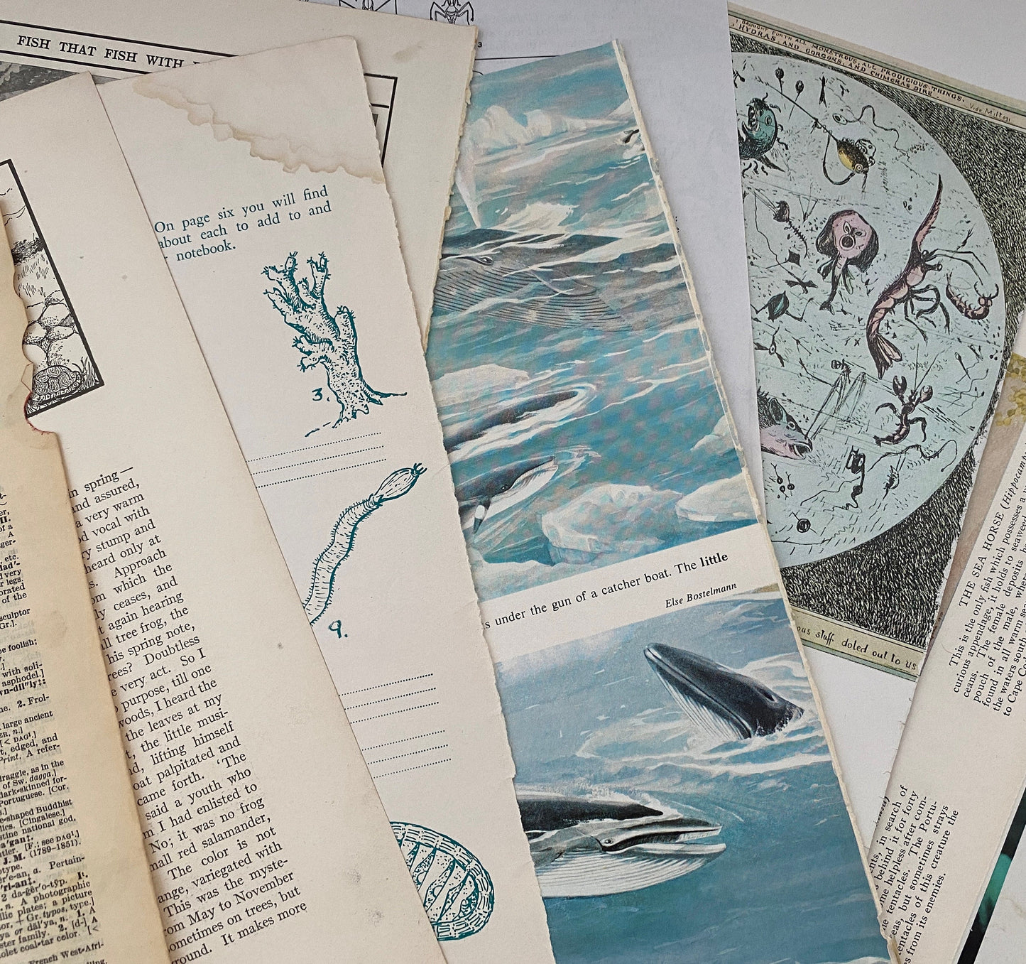 UNDER THE SEA: 1/8 lb mix of vintage fish & related book pages and papers for art, collage, junk journal, scrapbook, craft