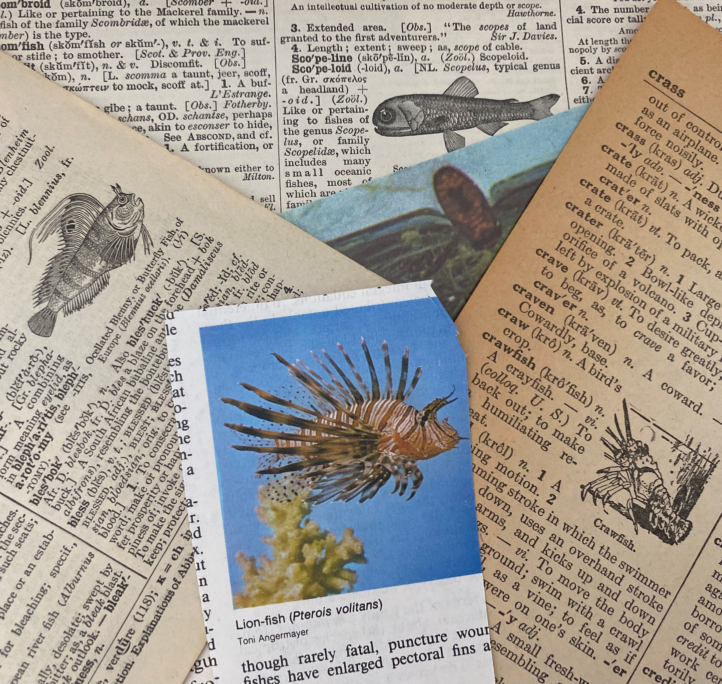 UNDER THE SEA: 1/8 lb mix of vintage fish & related book pages and papers for art, collage, junk journal, scrapbook, craft
