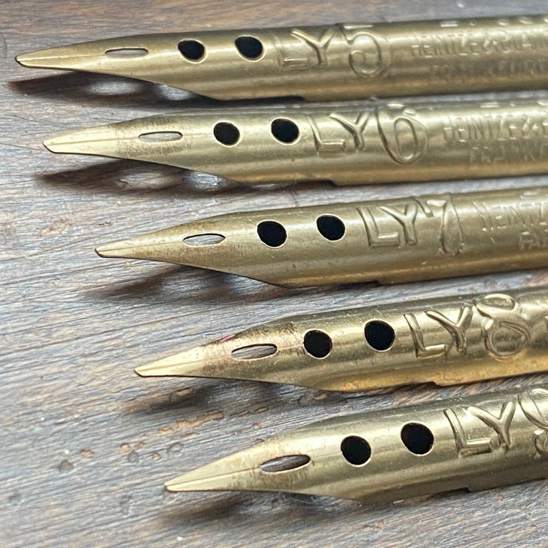 5 Pen Nibs: set of 5 left oblique calligraphy nibs: Heintze Ly series (italics)