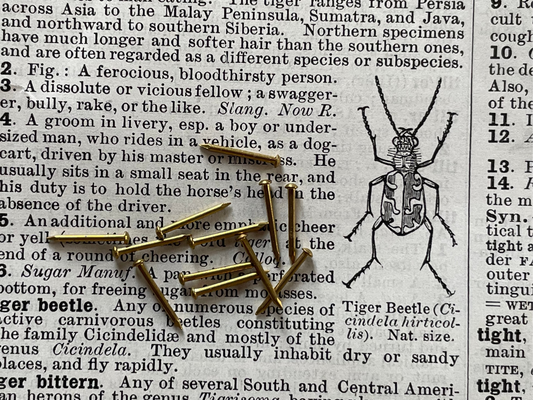 one dozen small brass nails scattered atop an old book page with an illustration of a beetle.
