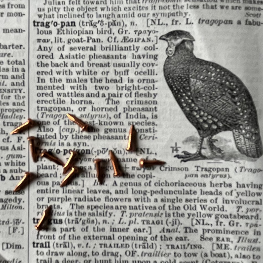 Small Cooper nails scattered on top of an open book spread with printed text and a black-and-white bird illustration.