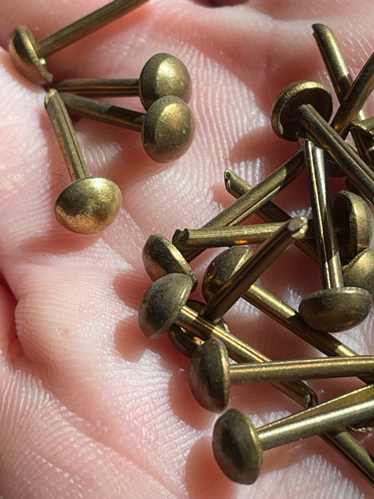 12 Brass Upholstery Tacks • One Dozen Antique Furniture Brads • - .2" dome head / .57" long • Early 20th Century Restoration Hardware