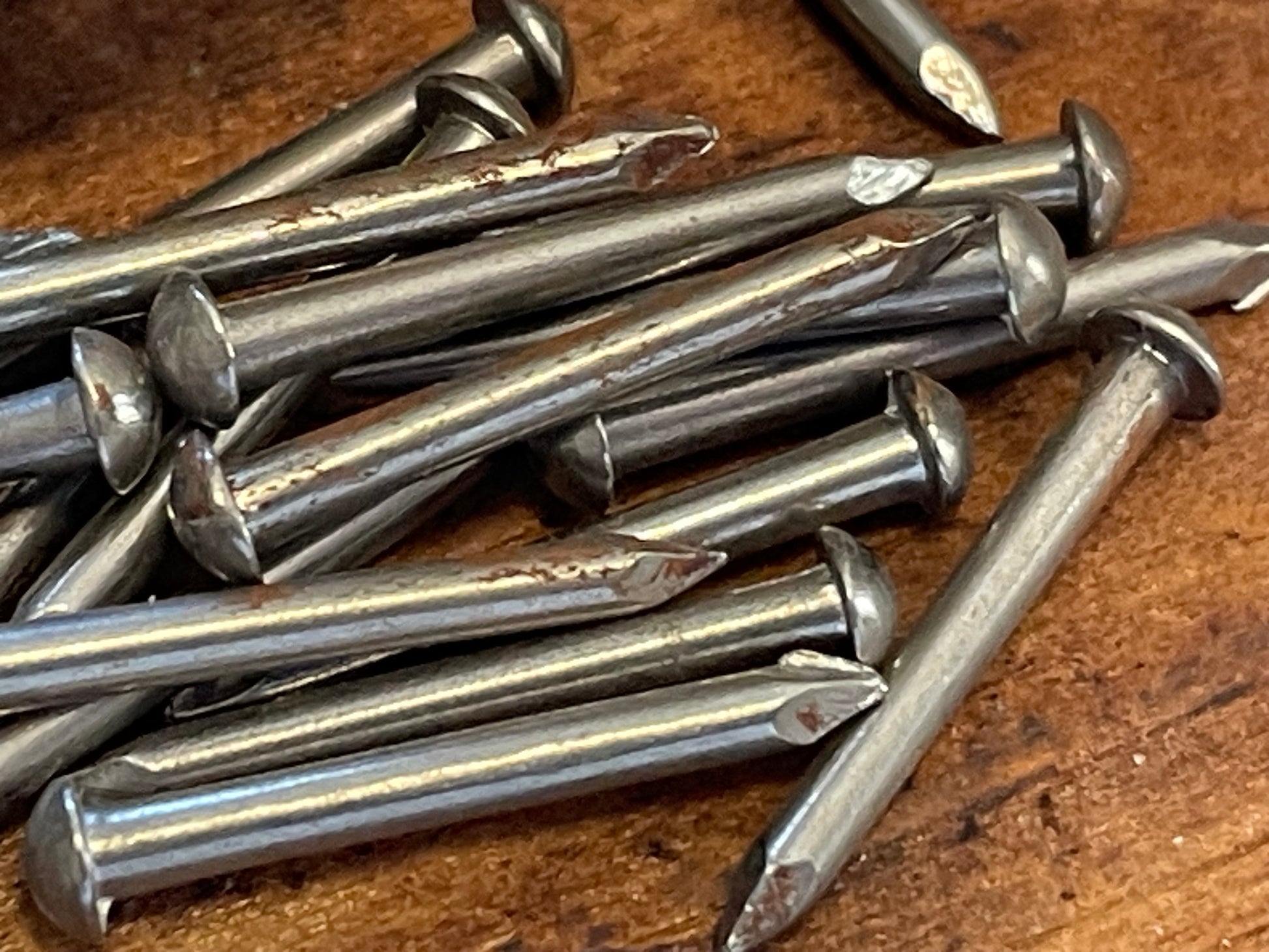 Close-up of a dozen or so steel escutcheon pins (16 gauge / 5/8") against a wooden background