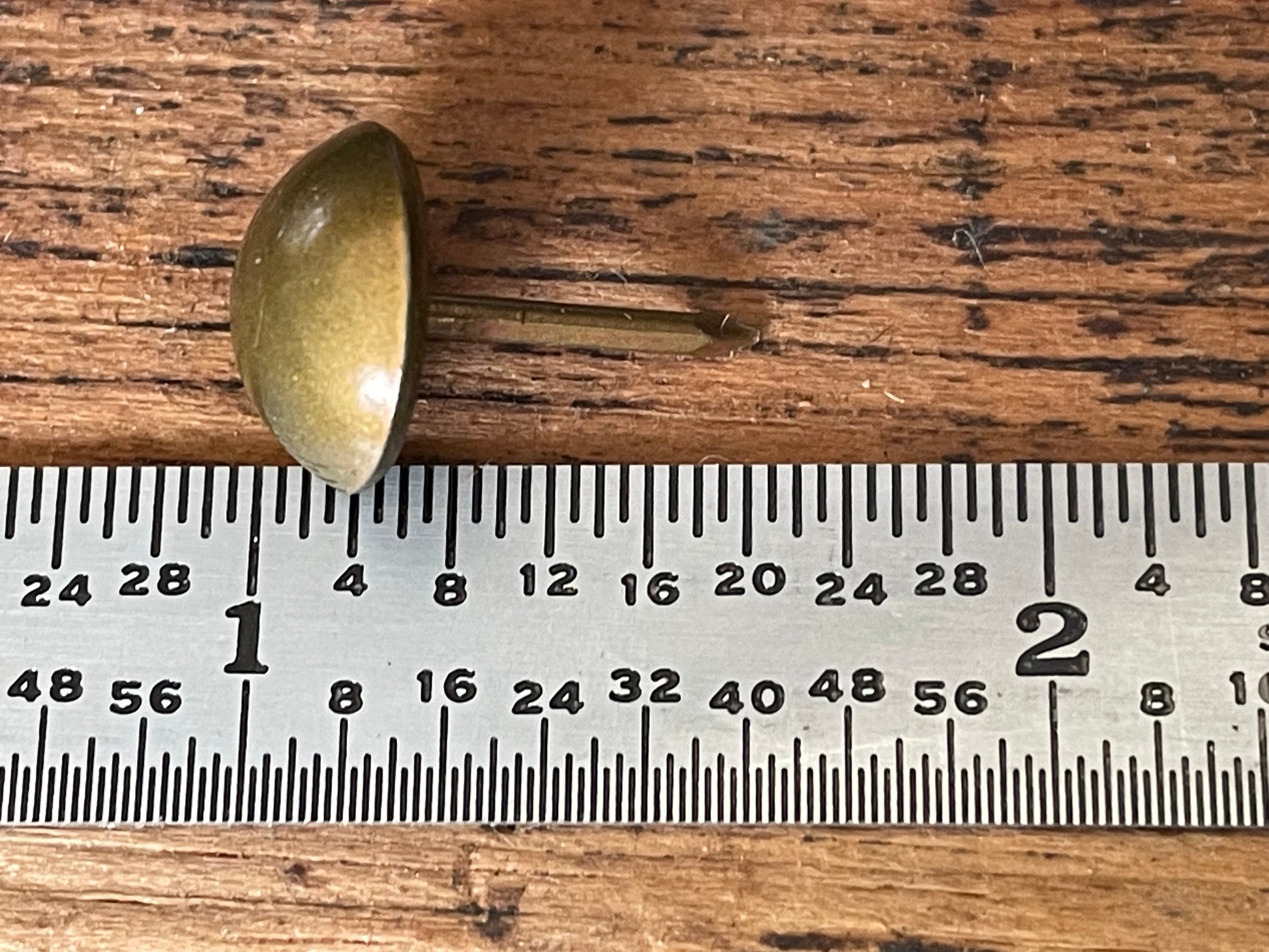 A single small dome-shaped upholstery tack shown on a wooden surface above a ruler for scale.