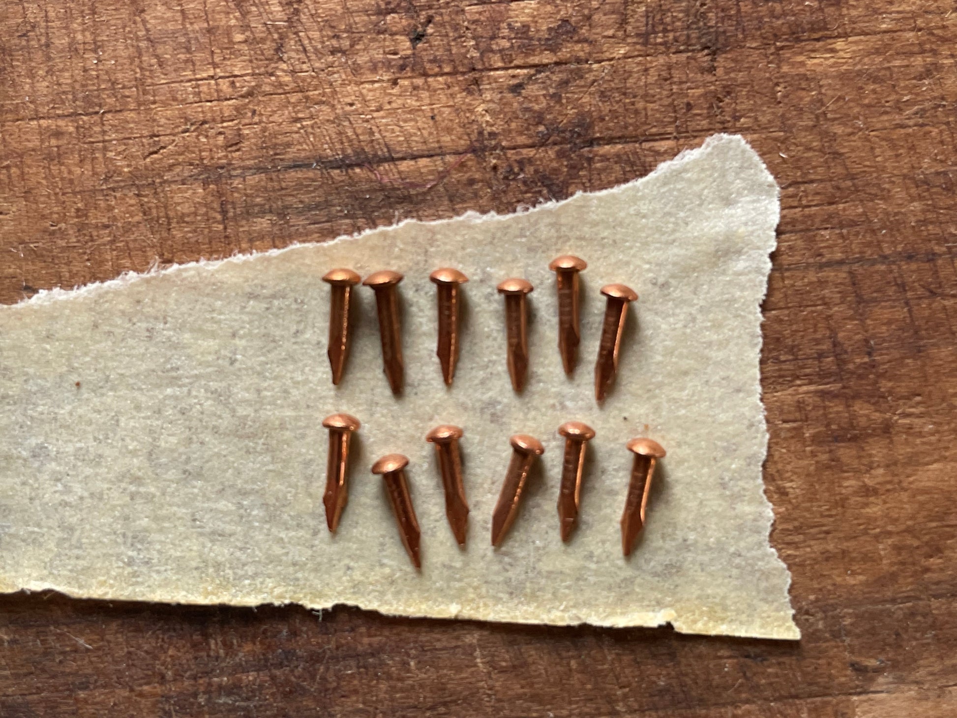 Twelve small copper-colored nails arranged on a torn piece of off-white paper over a rustic wooden surface.