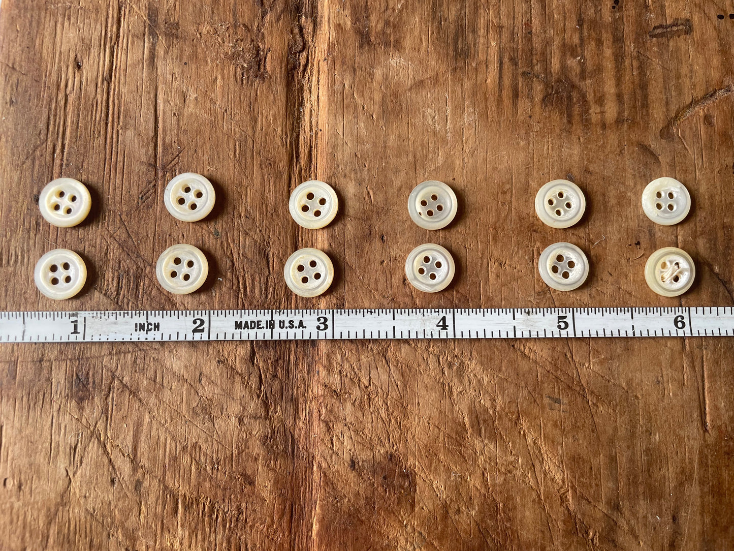 Tewelve small round buttons arranged in two rows above a metal ruler on a rustic wooden surface, showing their size in inches.