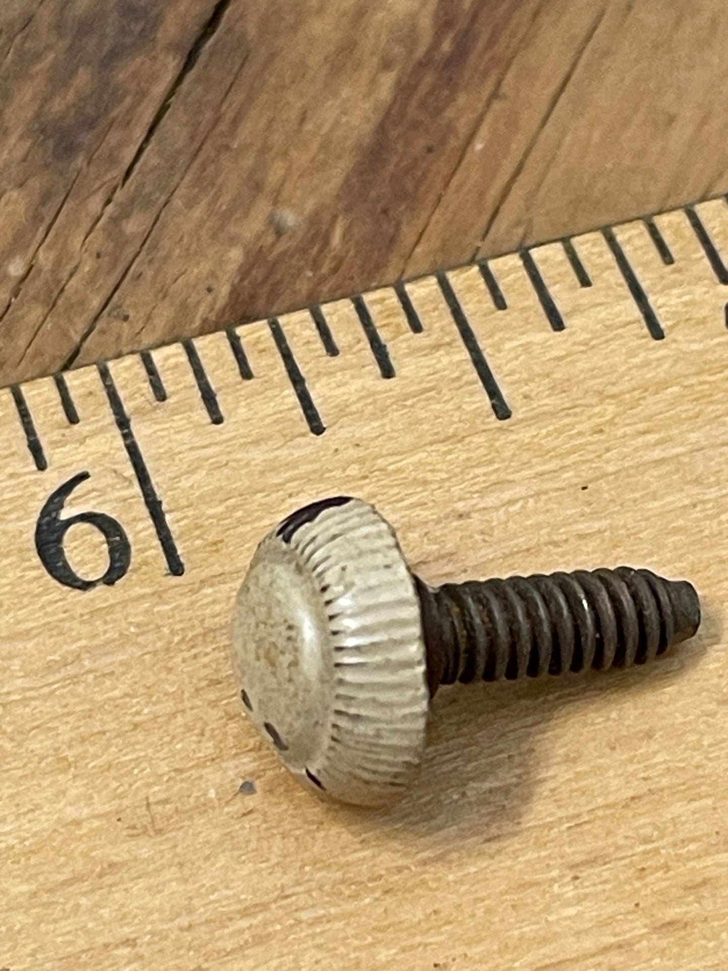 One antique screw with heavy patina on a wooden ruler 