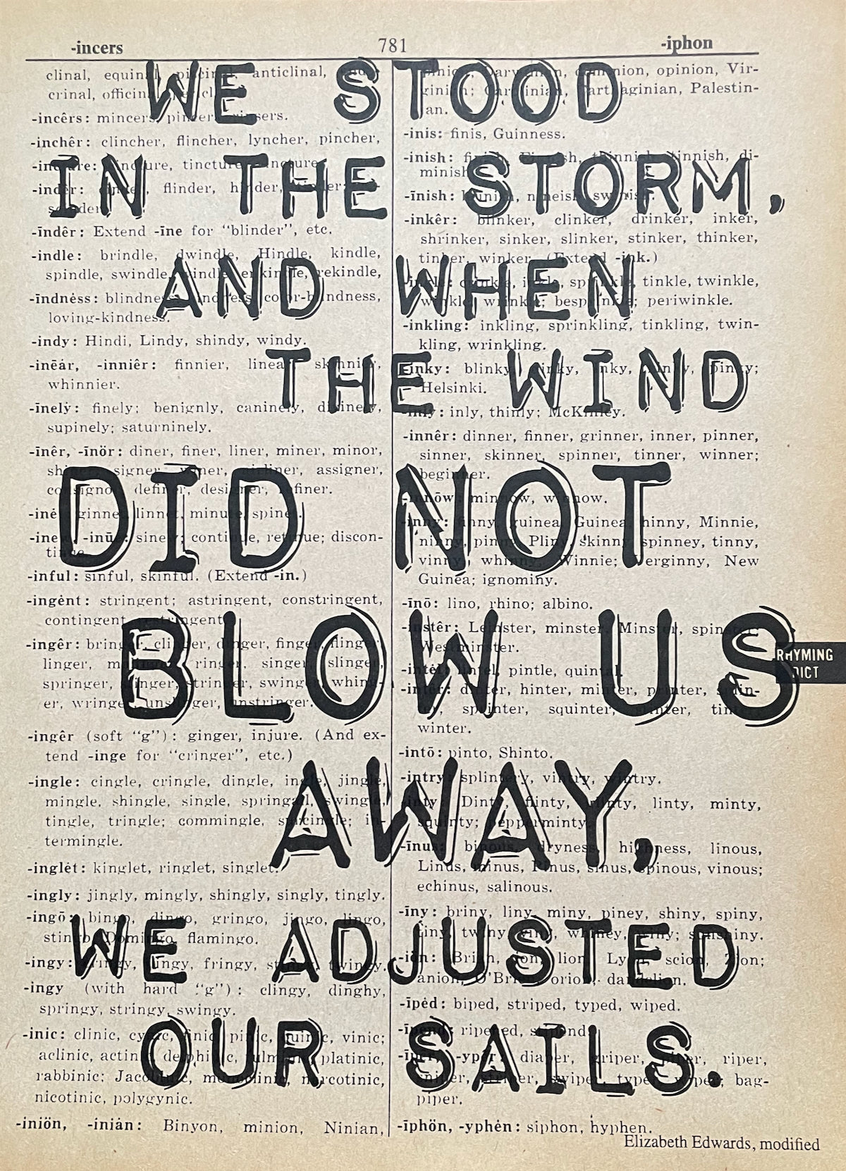 Motivational quote on an overprinted dictionary page: "we stood in the storm, and when the wind did not blow us away, we adjusted our sails."