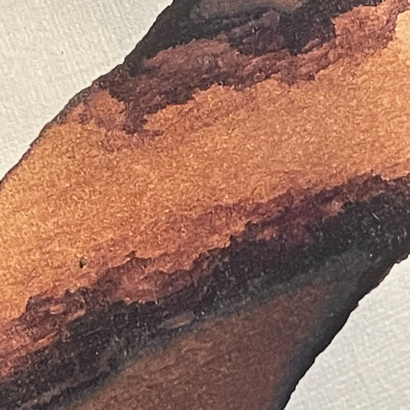 Walnut ink - dry pigment