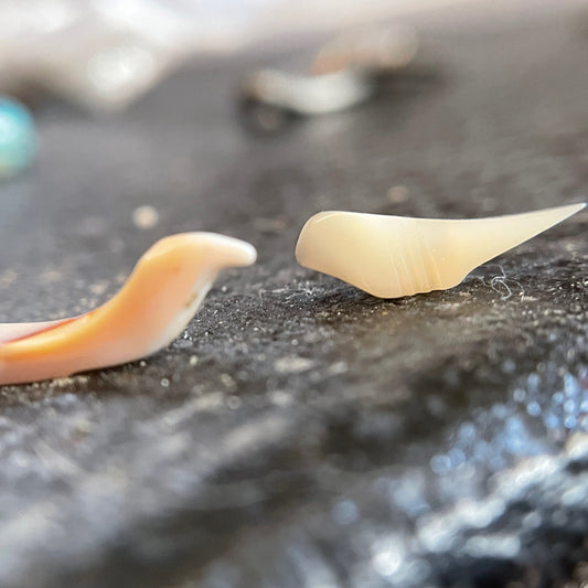 Tiny cut shell bird beads