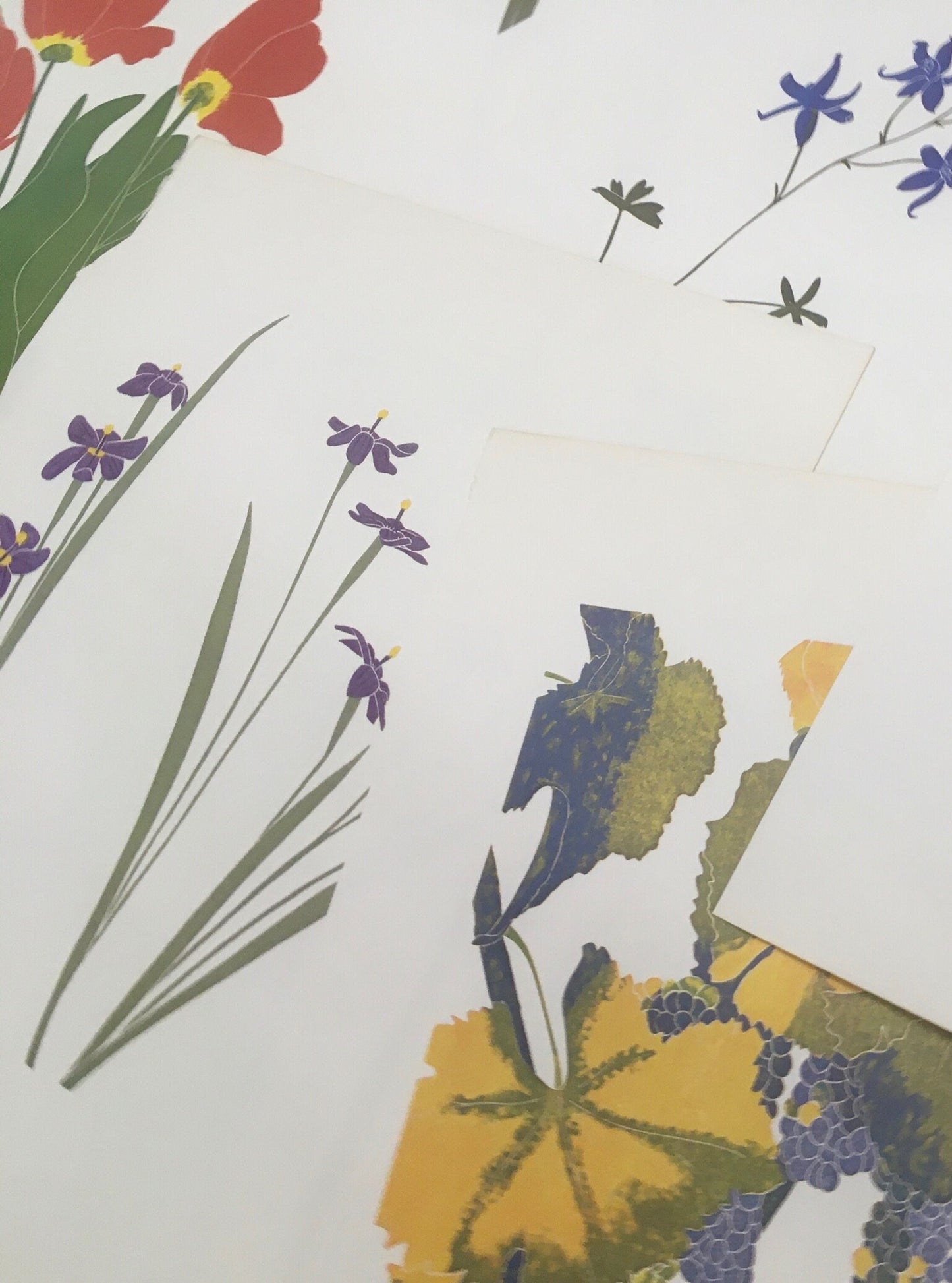 Four vintage bookplates featuring linocut botanical prints