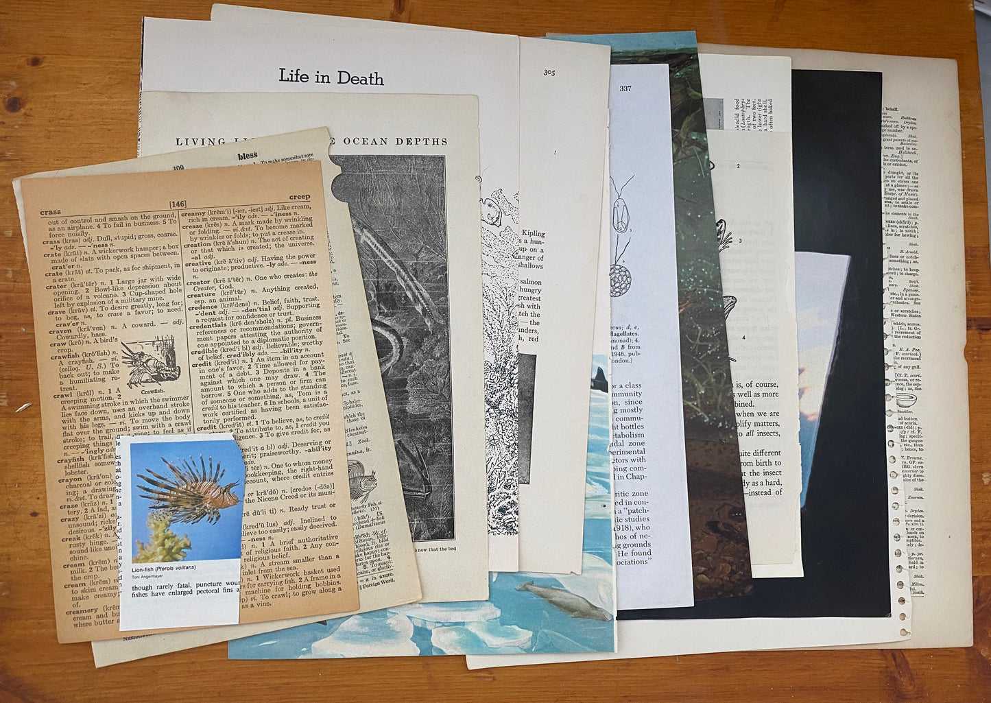 UNDER THE SEA: 1/8 lb mix of vintage fish & related book pages and papers for art, collage, junk journal, scrapbook, craft